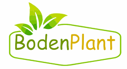 Boden Plant